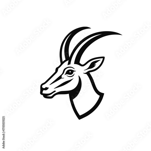 Antelope Springbok vector. Isolated antelope head on white background 