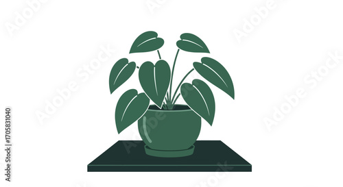 Lush green potted plant displayed on a modern shelf, bringing natural beauty indoors.
