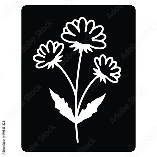 Elegant floral illustration of three blooming dandelions with leaves against a contrasting black background bringing a touch of natural beauty to your design projects