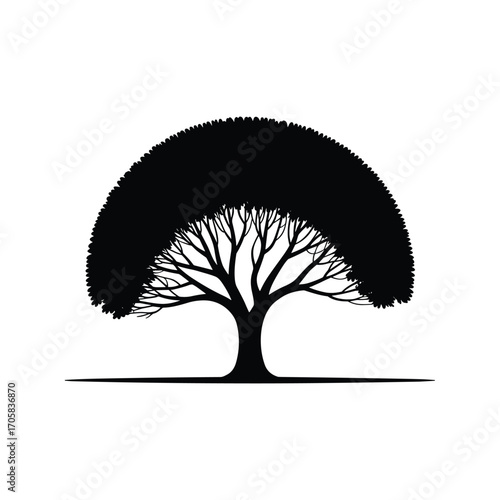 Stylized silhouette of a large tree with an expansive canopy and intricate roots against a white backdrop