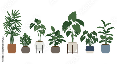 Modern flat indoor plants in stylish pots for home decor inspiration