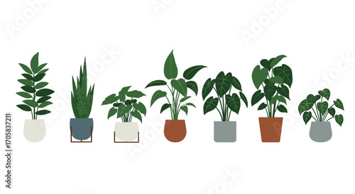 Flat style collection of potted houseplants on white background