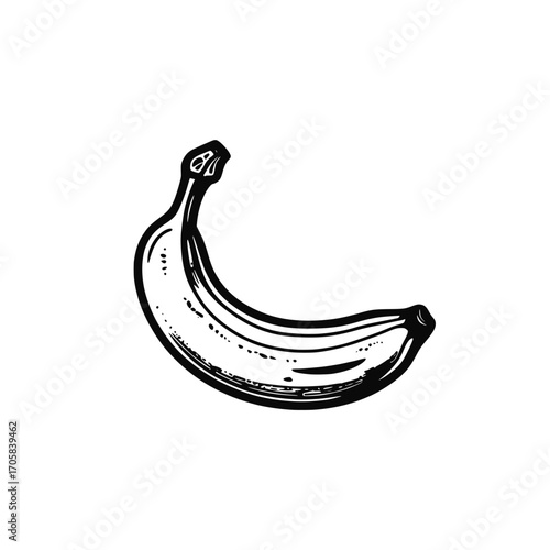 Isolated banana. Vector illustration