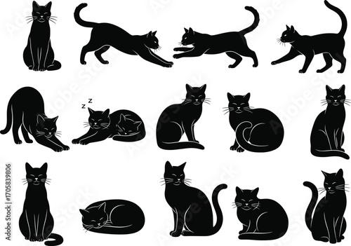 Silhouettes of black cats in different playful and resting poses, cute feline illustrations, cat vector art, animal silhouettes, pet graphics, simple black cat icons, diverse cat postures