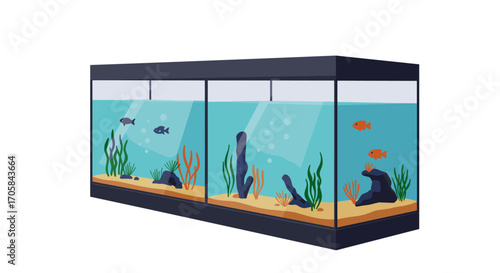 Aquarium scene with colorful fish and plants in large glass tank