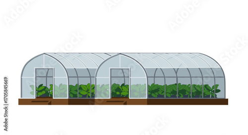Modern greenhouse with lush foliage on white background