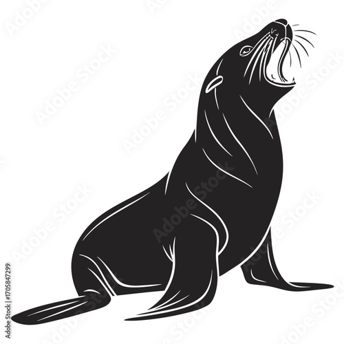 black sea lion