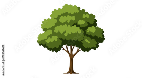 Vibrant green tree with lush foliage on white background