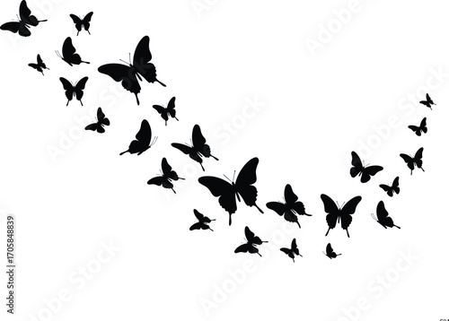Butterflies flying upward curve silhouette, insect swarm in motion, black butterfly group pattern, decorative nature vector design, wings illustration