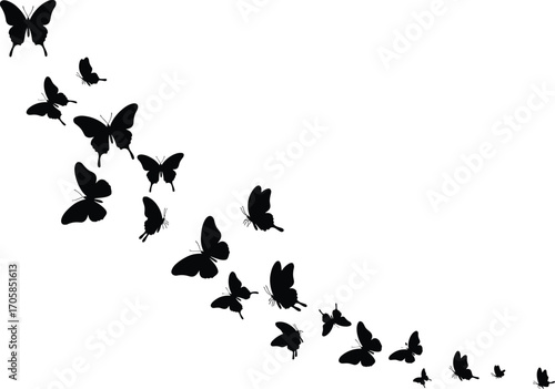 Butterfly silhouettes in diagonal descending line formation, black flying insect vector illustration, isolated decorative butterfly swarm from large to small