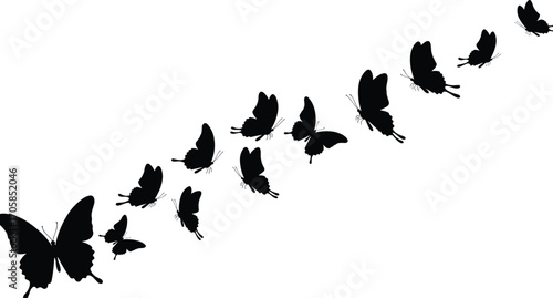 Butterfly silhouettes in diagonal upward flight formation, black insect vector illustration, isolated decorative butterfly swarm with one large leader insect