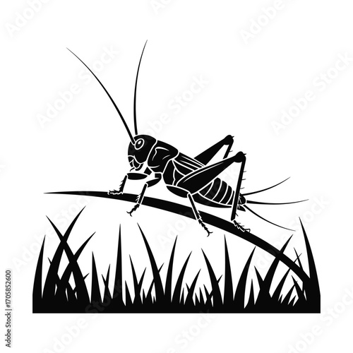 Detailed silhouette of a cricket perched on a twig above tall grass