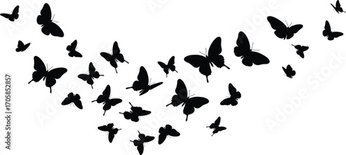 Butterfly silhouettes flying in V formation, black insect vector illustration of wild butterflies in motion, isolated decorative swarm nature design artwork