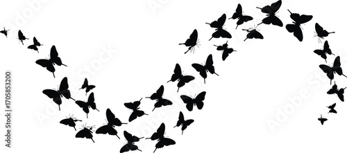 Butterfly silhouettes flying in wave curve formation, black insect vector illustration, isolated nature design of wild butterflies in motion, decorative element
