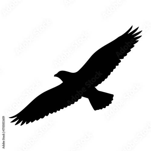 Flying Bird Silhouette Isolated on White Background