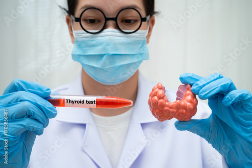 Doctor holding thyroid gland model and blood sample test tube in laboratory.
