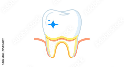 A sparkling clean white tooth with healthy gums.