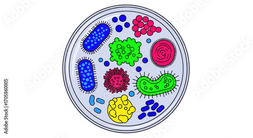 Colorful Microorganisms in Petri Dish Microscopic Bacteria and Viruses Illustration.