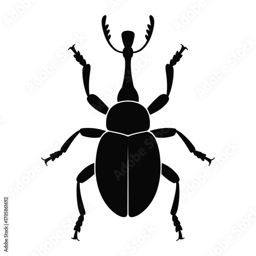 Black silhouette of a detailed weevil insect with prominent snout and antennae