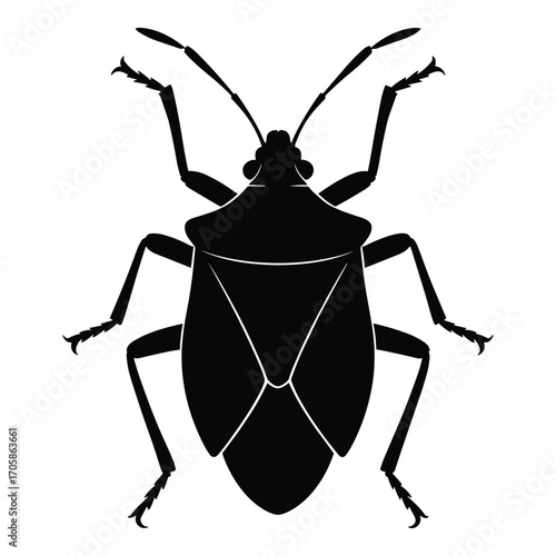 Detailed silhouette of a stink bug insect with visible legs and antennae
