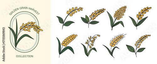 Golden Grain Harvest Collection Vector Illustration. Agriculture Design Elements