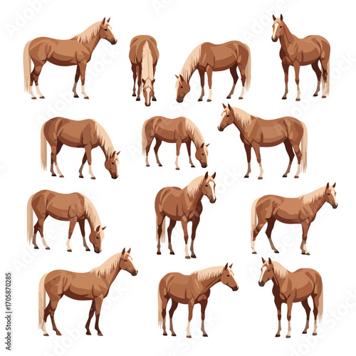 Set of beautiful brown horses with blonde manes and tails in various poses.