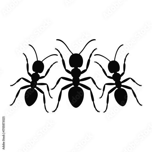 Three stylized black ants marching in a row on a white background