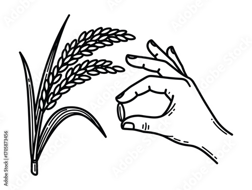 Hand Holding Grain of Rice with Plant, Food Concept Vector Illustration