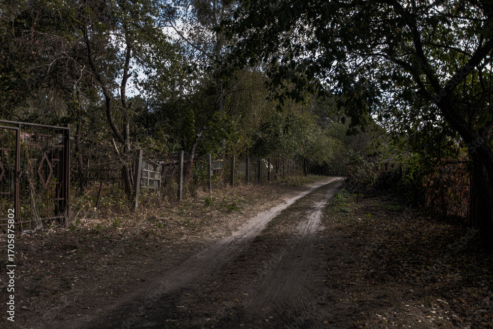 Fototapeta premium Landscape with a road passing through a deserted summer cottage village.