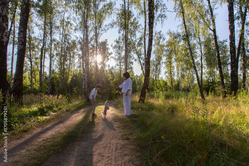 Fototapeta premium The family enjoys a daytime walk in a sunny forest with a dog on a dirty path surrounded by tall trees.