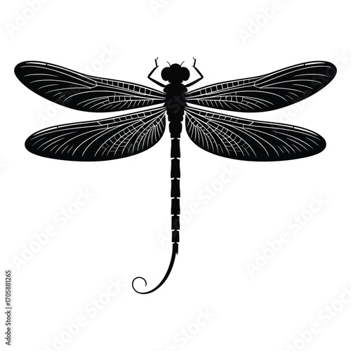Intricate black silhouette of a dragonfly with detailed wing patterns