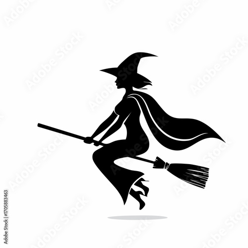 The Sorceress's Midnight Flight