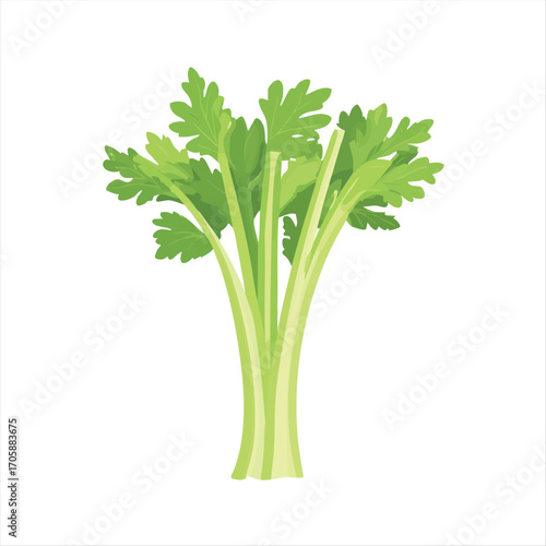 Fresh celery stalks with vibrant green leaves.  A healthy, crisp vegetable, perfect for salads, snacks, or culinary creations.  A nutritious addition to your diet