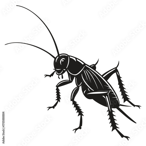 vector silhouette of a bug