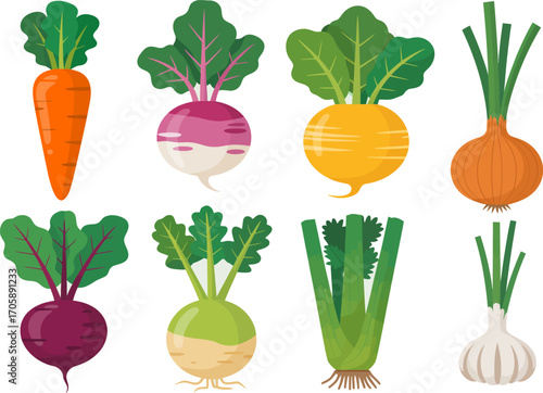 Vector art of collection of root vegetables with green leaves