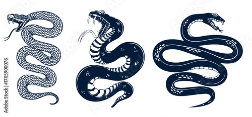 Set of illustrations of poisonous snake in engraving style. Design element for label, sign, poster, t shirt. Vector illustration