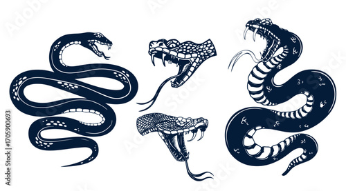 Set of illustrations of poisonous snake in engraving style. Design element for label, sign, poster, t shirt. Vector illustration