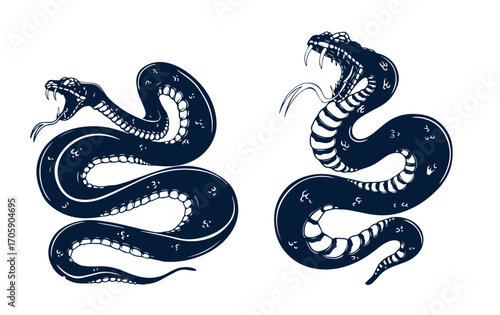 Set of illustrations of poisonous snake in engraving style. Design element for label, sign, poster, t shirt. Vector illustration