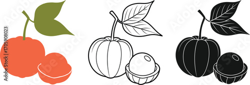 Vibrant graphic representations of a whole and halved fruit with leaves, showcasing different styles