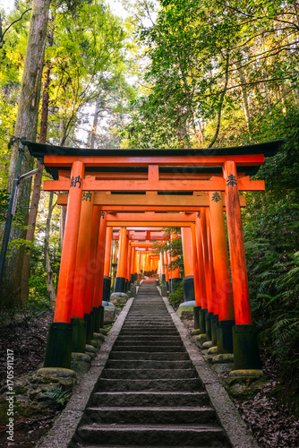 Stone steps lead through vibrant red torii gates of Fushimi Inari Taisha on Mount Inari, Kyoto, captured in soft morning light amidst a sacred forest path