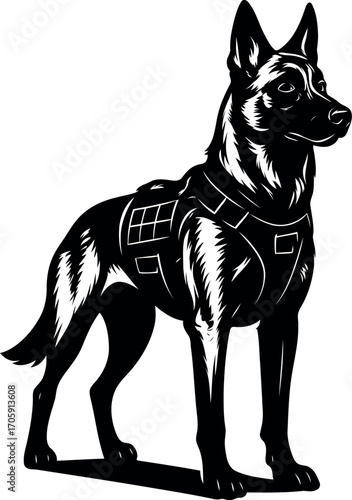 Belgian Malinois guard  Police dog Illustration