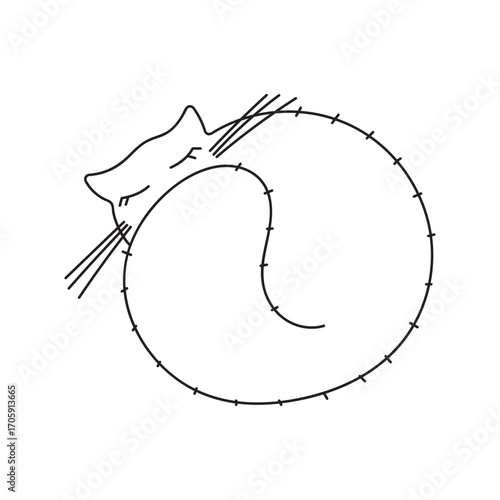 Doodle of sleeping cat curled up