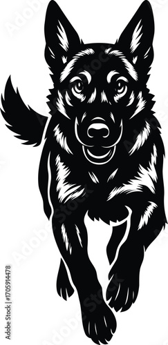 Dynamic Belgian Malinois Guard dog running Silhouette