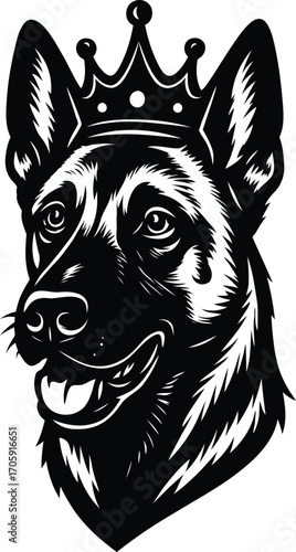 Belgian Malinois guard dog with Crown Regal Canine Portrait