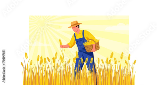 Farmer Collecting Crops In The Field Under The Sunny Rays of A Beautiful Day