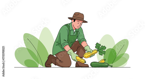 Farmer Harvesting Courgettes Illustration Depicting Fresh Produce and Sustainable Gardening