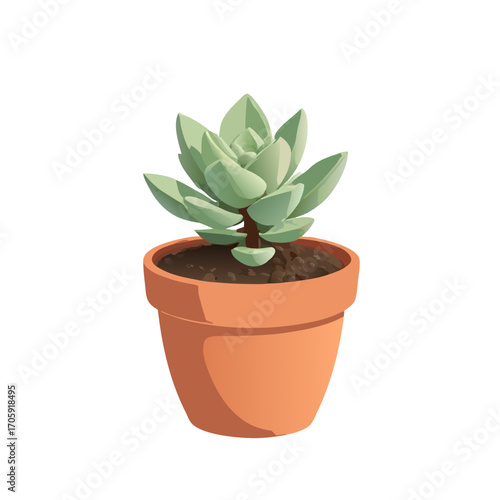 cactus in a pot