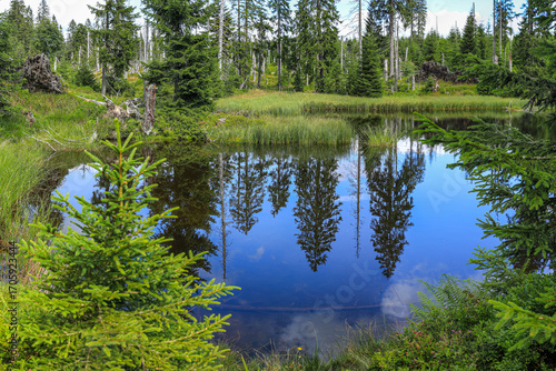 Bergsee im Nationalpark Bayerischer Wald