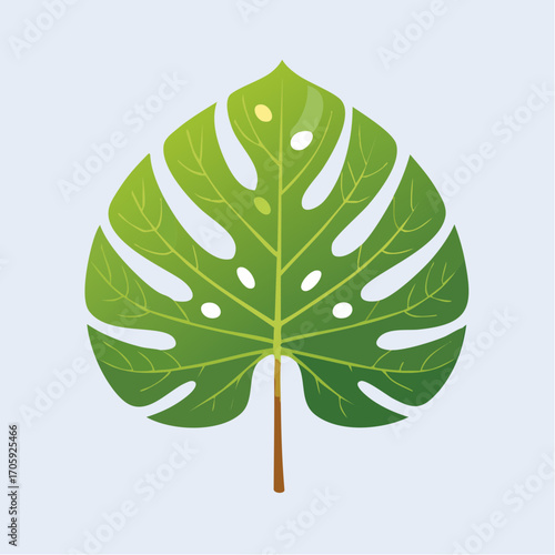 Single Vibrant Green Monstera Leaf on Light Blue Background
