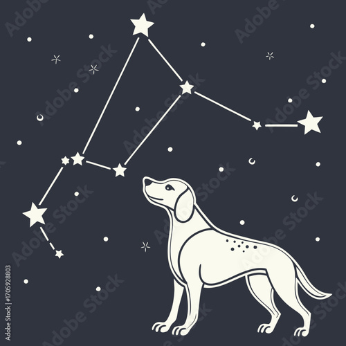 A stylized white dog looks up at a constellation of stars against a dark night sky
